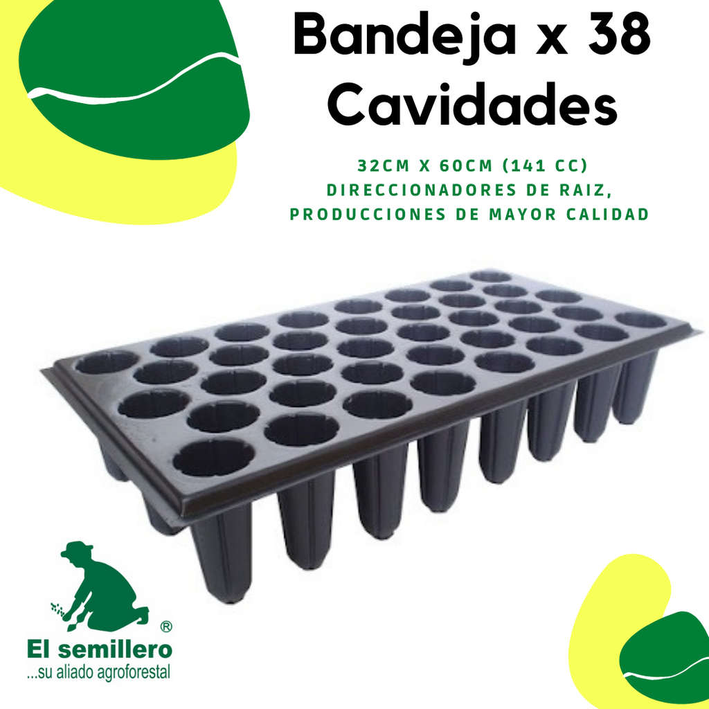 BANDEJA X 38 CAVIDADES PLUS