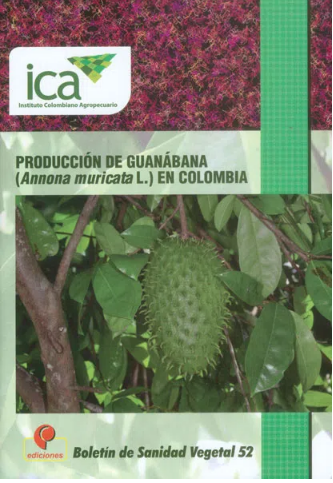 LB PRODUCCION GUANABANA COLOMBIA (ANNONA MURICATA)