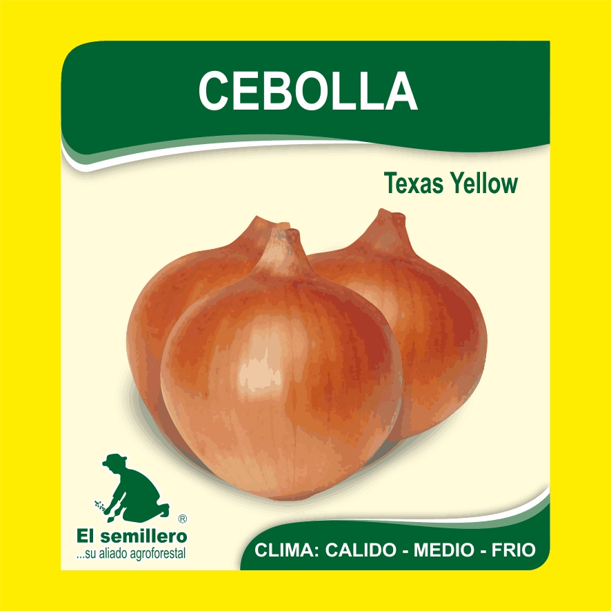 CEBOLLA TEXAS YELLOW GRAND 502 (SEMILLA)