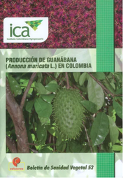 [1691] LB PRODUCCION GUANABANA COLOMBIA (ANNONA MURICATA)