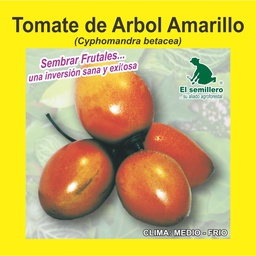 TOMATE DE ÁRBOL AMARILLO (SEMILLA)