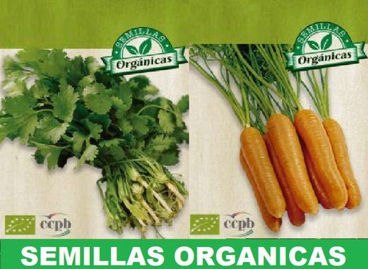 Semillas organicas para viveros y al por mayor