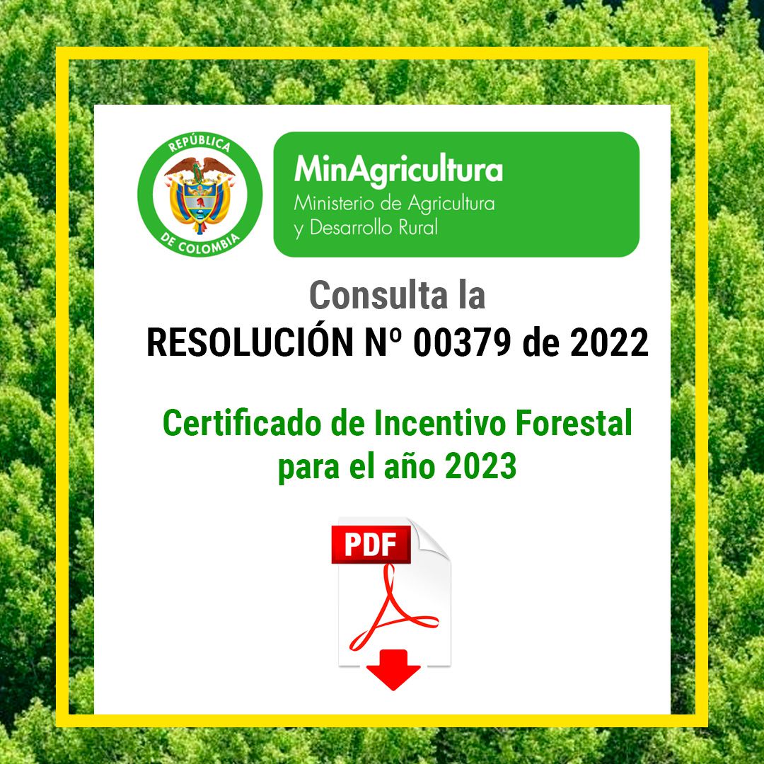 Certificado de incentivo forestal para el año 2023 resolución 00379 de 200 