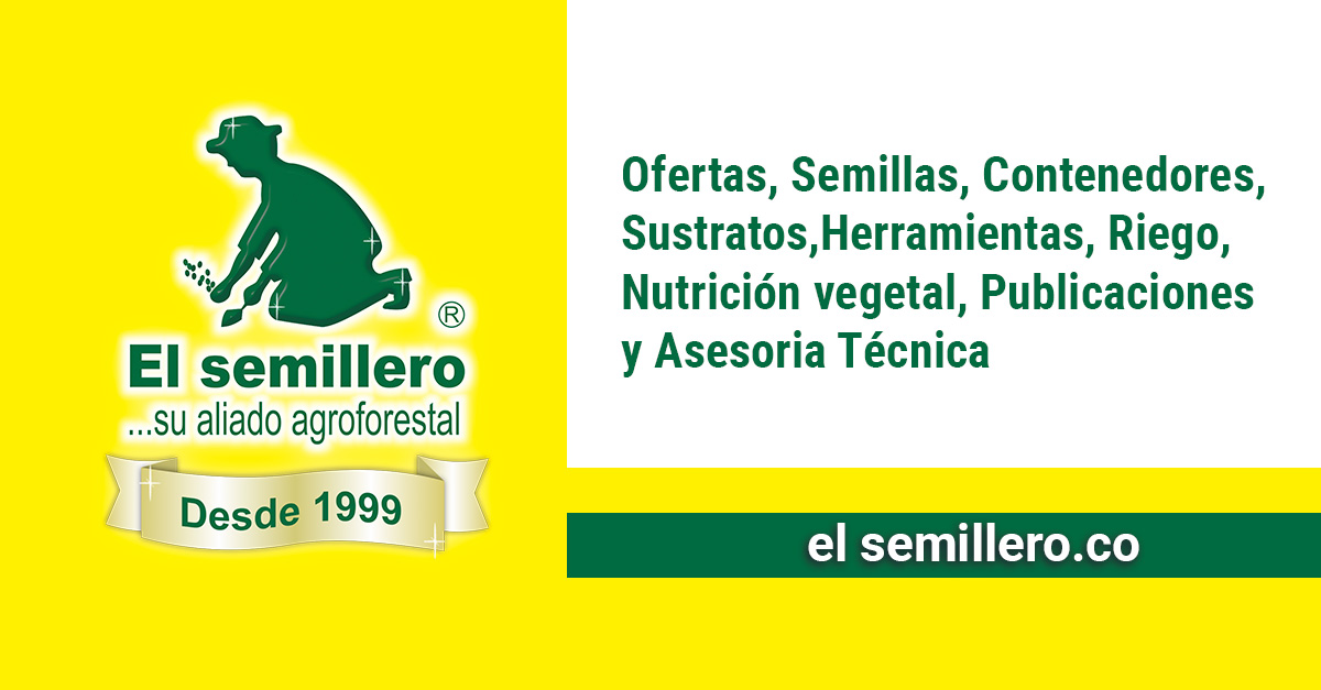 www.elsemillero.co