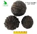 Cedro Negro.webp