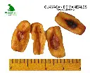 Guayacan de Manizalez.webp