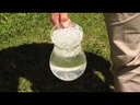 youtube - [Video]