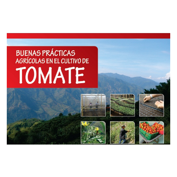LB BUENAS PRACTICAS AGRICOLAS EN EL CULTIVO DEL TOMATE