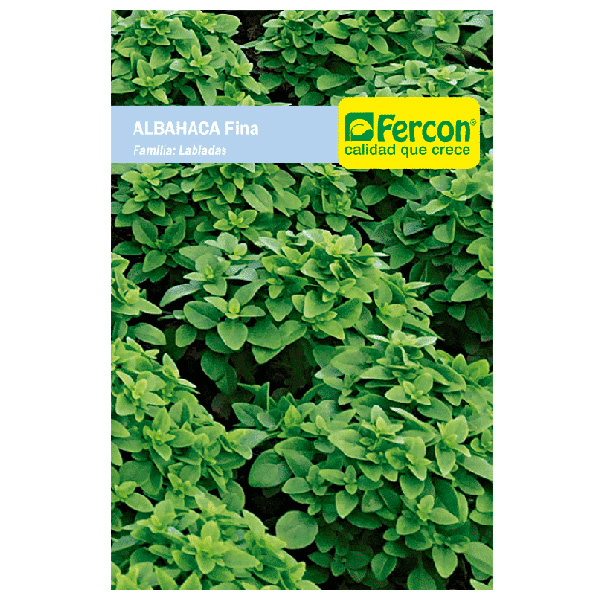 ALBAHACA FINA VERDE X 1GR (SEMILLA)