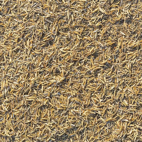 CASCARILLA DE ARROZ X BULTO 10Kg.