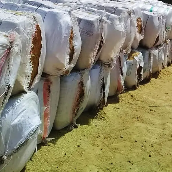 [S10] CASCARILLA DE ARROZ X PACA 45-55 KG