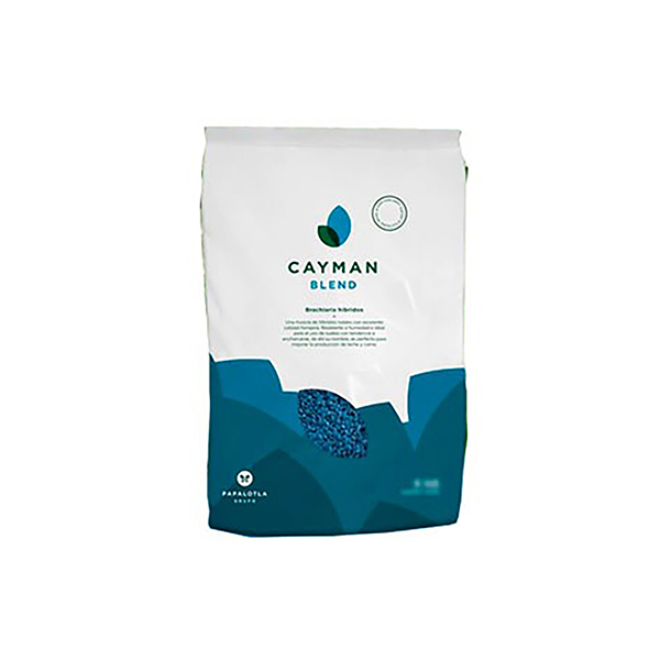 [PF7] PASTO CAYMAN HIBRIDO X 2KG (SEMILLA)