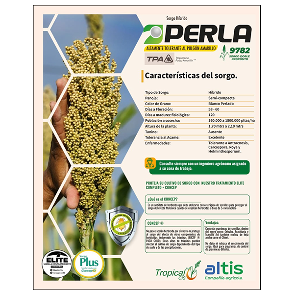 [PF42] SORGO 9782P FORRAJERO X KG (SEMILLA)