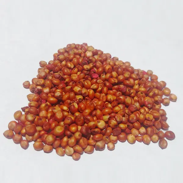 SORGO FORRAJERO X KG (SEMILLA)