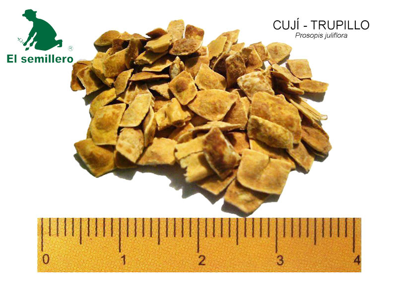 CUJI - TRUPILLO (SEMILLA)