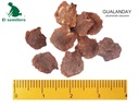 GUALANDAY (SEMILLA)