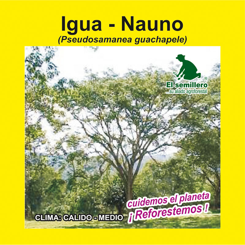 [FO151] IGUÁ - NAUNO (SEMILLA) (1Kg.)