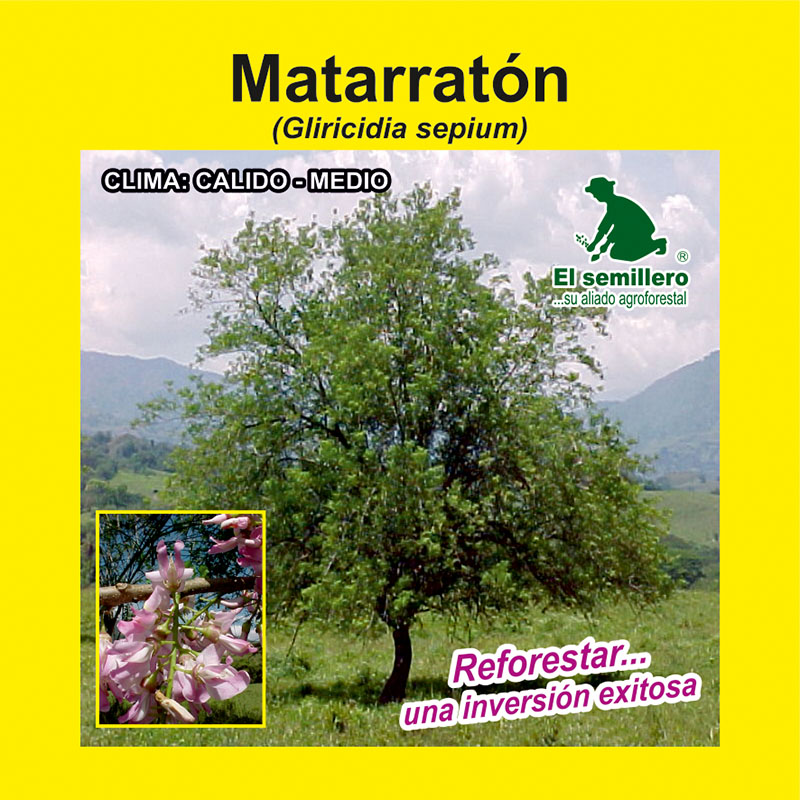 [FO168] MATARRATÓN (SEMILLA) (1Kg.)