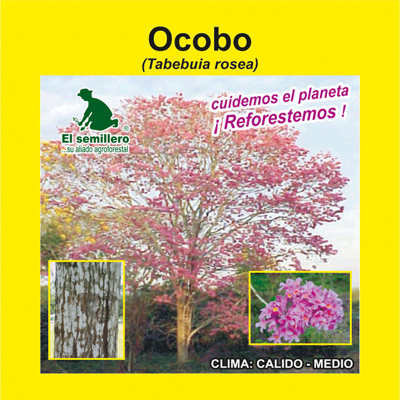 [FO185] OCOBO/FLORMORADO (SEMILLA) (1Kg.)