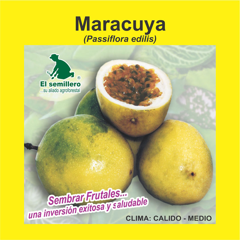 [FR42] MARACUYA (SEMILLA) (1Kg.)