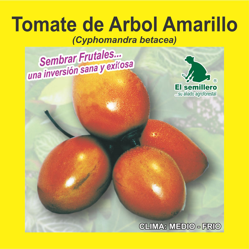 [FR58] TOMATE DE ÁRBOL AMARILLO (SEMILLA) (1Kg.)