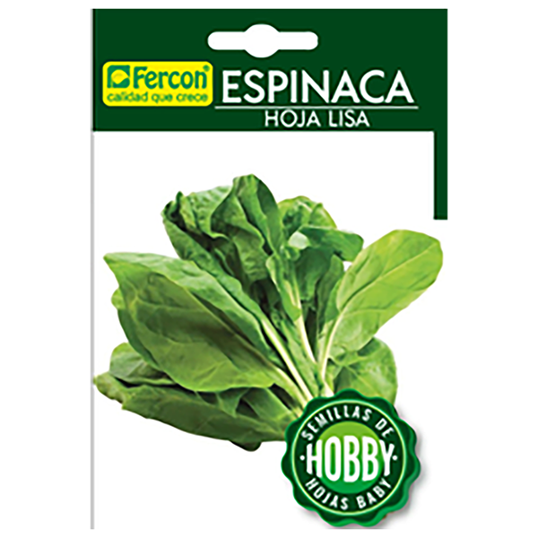 [HV35] ESPINACA HOJA LISA HOBBY  X 2GR (SEMILLA)