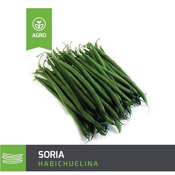 HABICHUELINA SORIA X S 1M (SEMILLA)