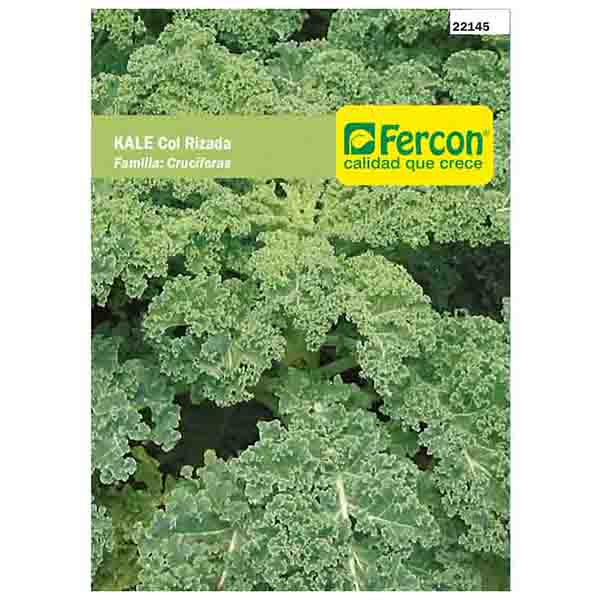 KALE COL RIZADO X 2GR (SEMILLA)