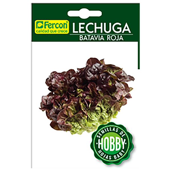 LECHUGA BATAVIA ROJA HOBBY  X 0.3GR (SEMILLA)