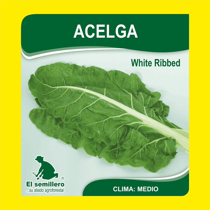 [HV2] ACELGA WHITE RIBBED (SEMILLA) (454g.)