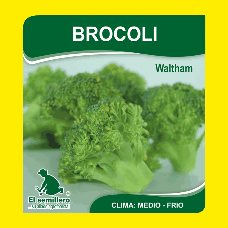 [HV47] BROCOLI WALTHAM (SEMILLA) (454g.)