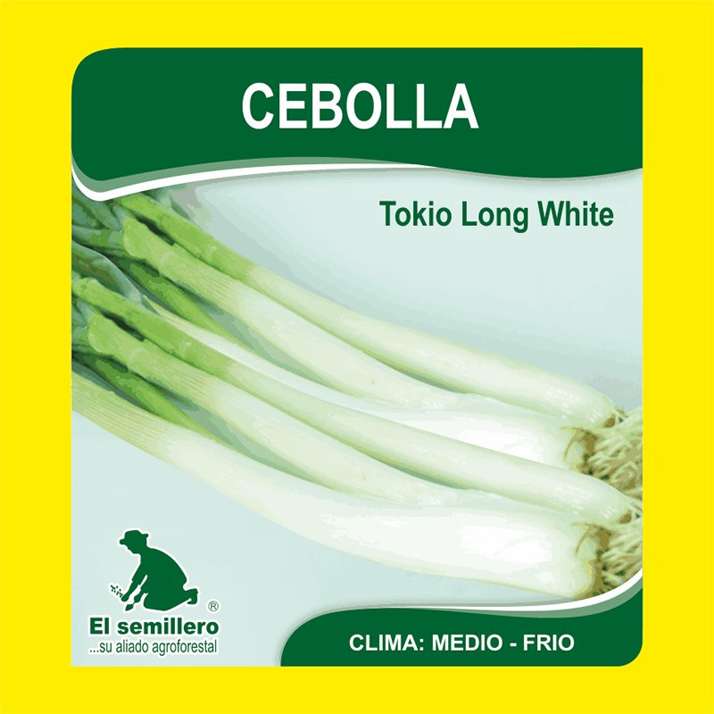 [HV57] CEBOLLA RAMA TOKIO LONG WHITE (SEMILLA) (454g.)
