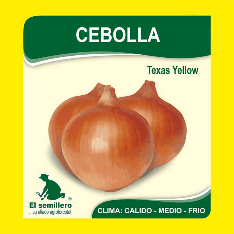 [HV64] CEBOLLA TEXAS YELLOW GRAND 502 (SEMILLA) (454g.)