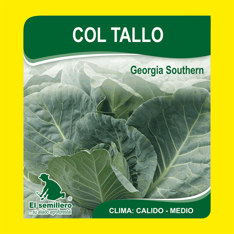 COLTALLO GEORGIA SOUTHERN (SEMILLA)