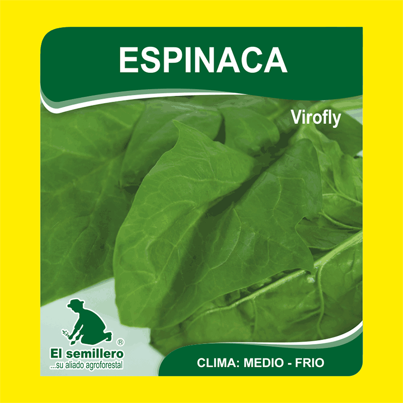 [HV103] ESPINACA VIROFLY (SEMILLA) (454g.)