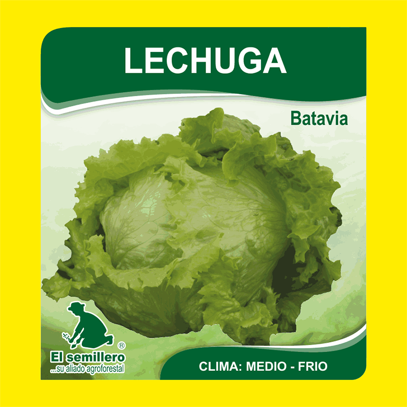 [HV130] LECHUGA GRANDES LAGOS BATAVIA (SEMILLA) (454g.)