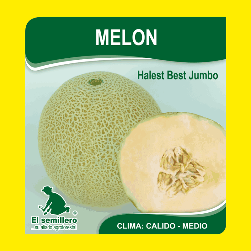 [HV143] MELON HALEST BEST JUMBO (SEMILLA) (454g.)