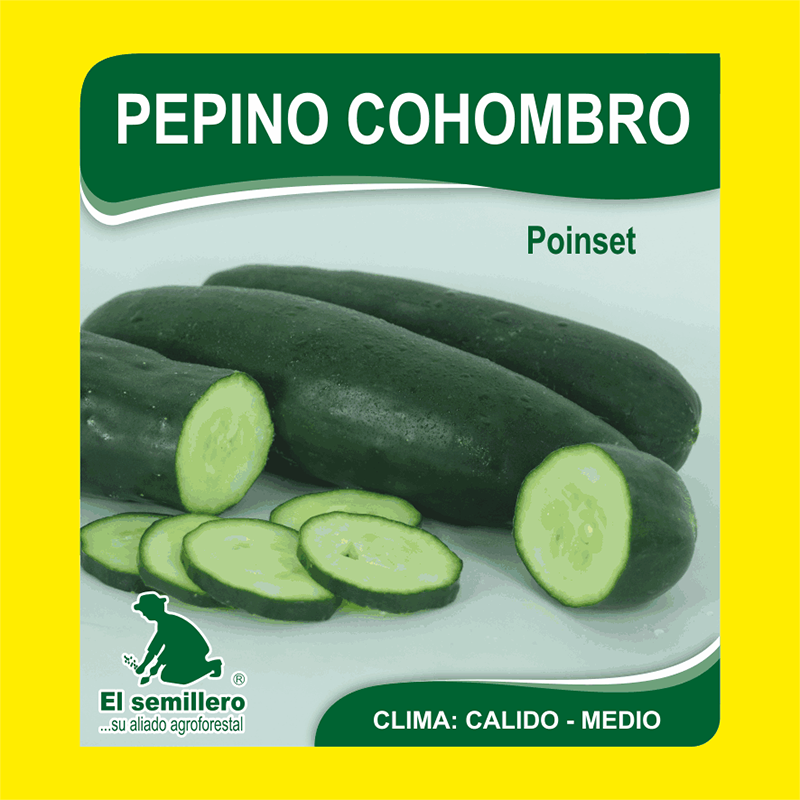 [HV157] PEPINO POINSET 76 (SEMILLA) (454g.)