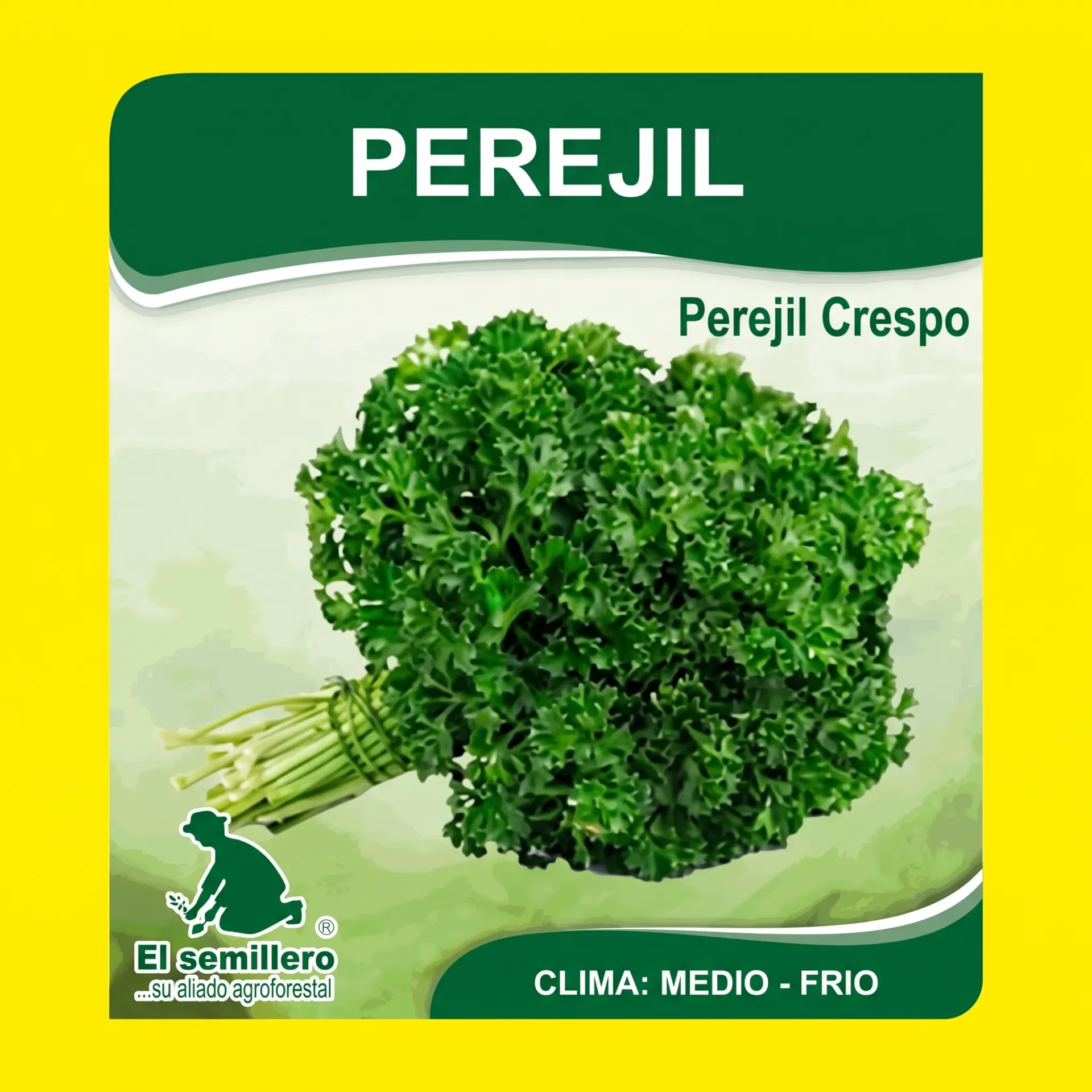 [HV167] PEREJIL CRESPO (SEMILLA) (454g.)
