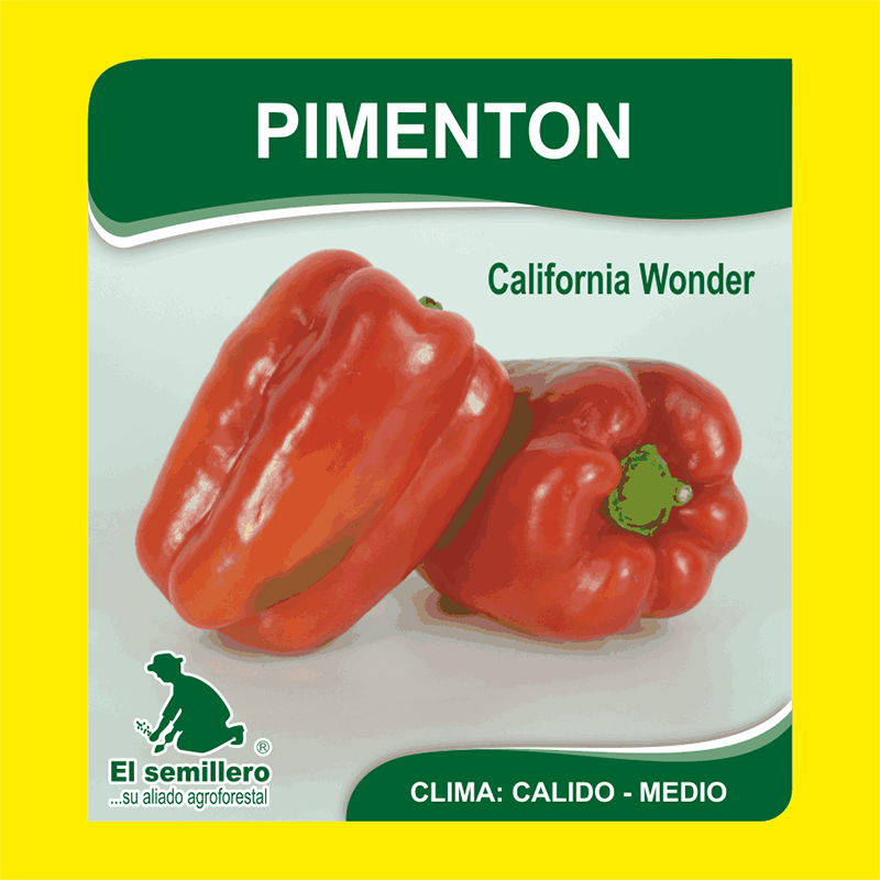 [HV176] PIMENTON CALIFORNIA WONDER (SEMILLA) (454g.)