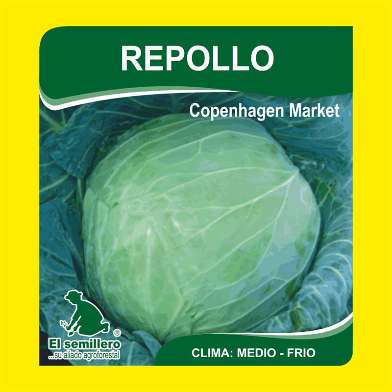 REPOLLO COPENHAGEN MARKET (SEMILLA)