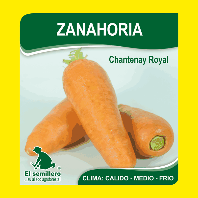 ZANAHORIA CHANTENAY ROYAL (SEMILLA)