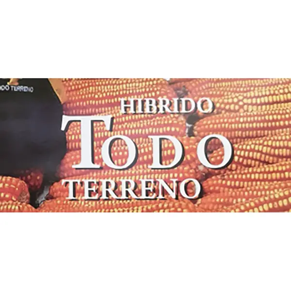 MAIZ ATL 400 (4x4) x KG (SEMILLA)