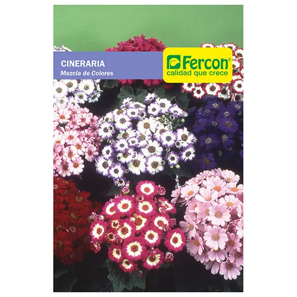 [FL9] FLOR CINERARIA MEZCLA DE COLORES 5510 X 0.022GR (SEMILLA)