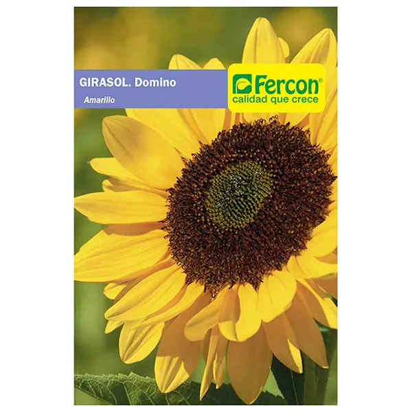 [FL17] FLOR GIRASOL DOMINO 5863 X 1GR (SEMILLA)