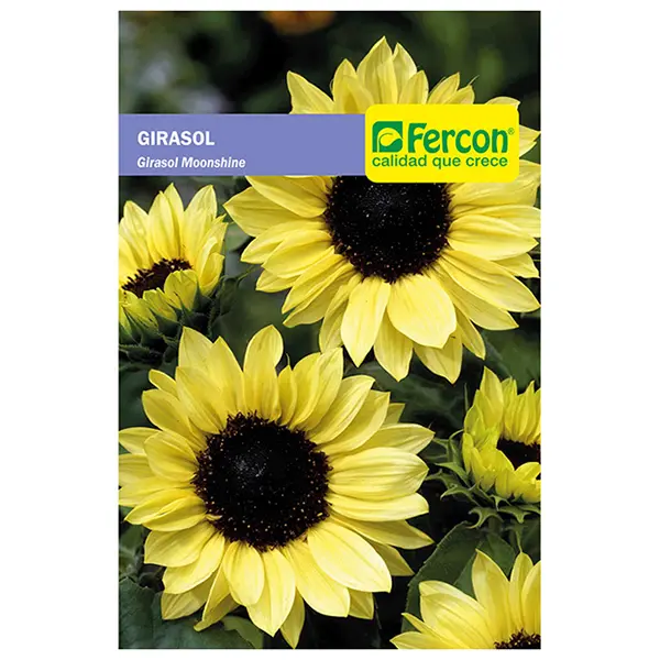 FLOR GIRASOL GIGANTE AMARILLO MOONSHINE X 0.5GR (SEMILLA)