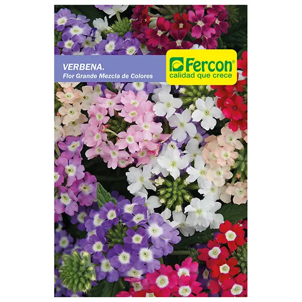 FLOR VERBENA GRANDE 6685 X 0.3GR (SEMILLA)
