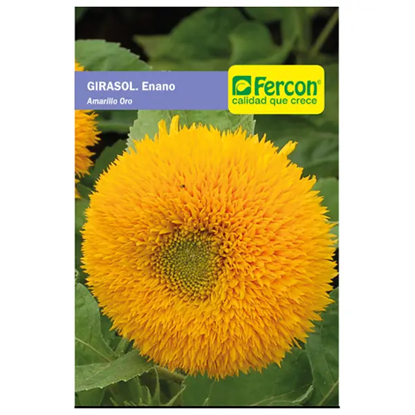[FL29] FLOR GIRASOL ENANO AMARILLO 5870 X 0.8GR (SEMILLA)