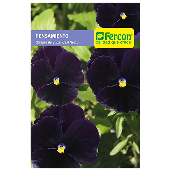 FLOR PENSAMIENTO CASI NEGRO 6760 X 0.2GR (SEMILLA)
