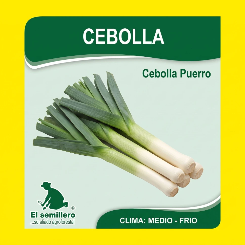 [HV562] CEBOLLA PUERRO  (SEMILLA) (454g.)